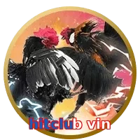 hitclub vin